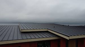 Fast & Reliable Emergency Roof Repairs in San Martin, CA